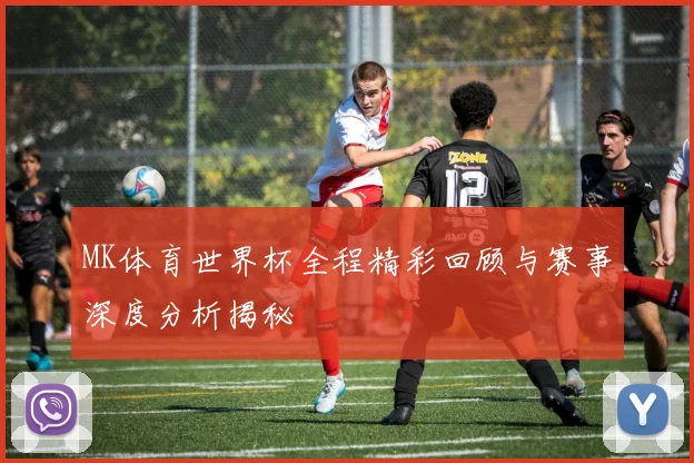 MK体育世界杯全程精彩回顾与赛事深度分析揭秘
