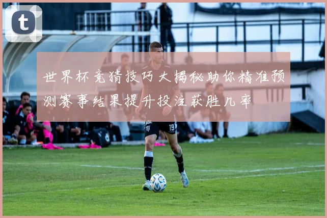 世界杯竞猜技巧大揭秘助你精准预测赛事结果提升投注获胜几率