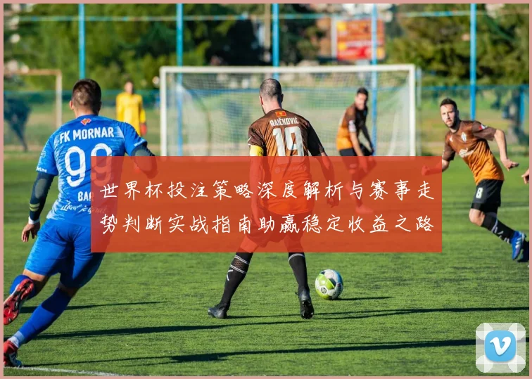 世界杯投注策略深度解析与赛事走势判断实战指南助赢稳定收益之路